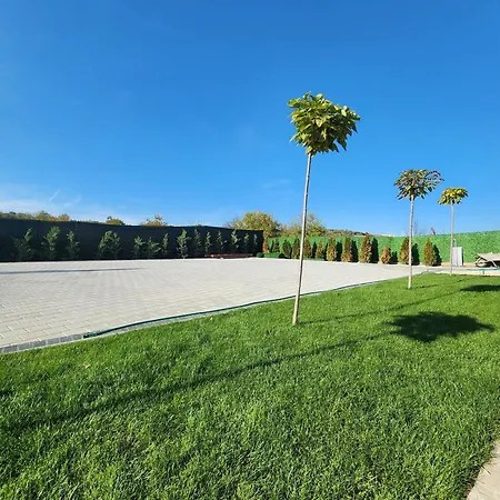 Alexander The Great Atg * Skopje